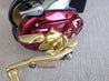 Daiwa 19 SEABORG 800MJ Right Electric Reel