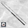 Brand New Daiwa 25 SALTIGA C 73-12 Spinning Rod