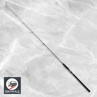 Brand New Daiwa 24 SALTIGA R J63S-2.5 LO Spinning Rod