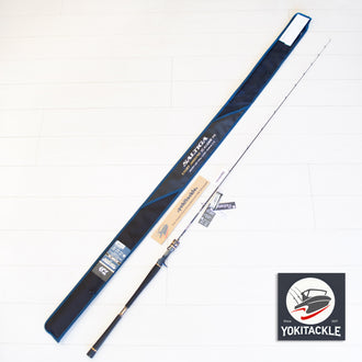 Brand New  Daiwa 25 SALTIGA LJ EX 61XHB TG Baitcasting Rod