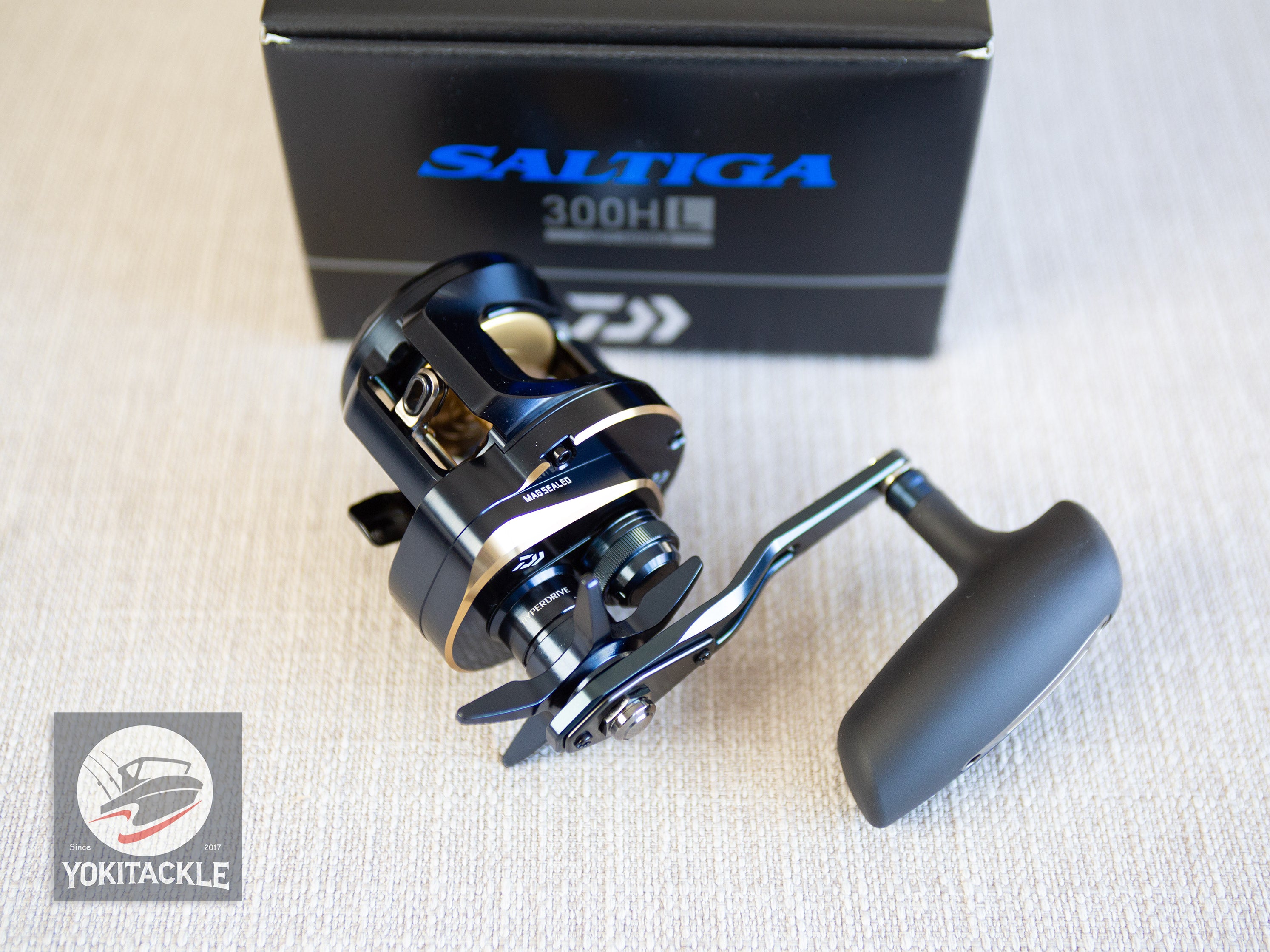 Daiwa 25 SALTIGA 300HL Baitcasting Reel