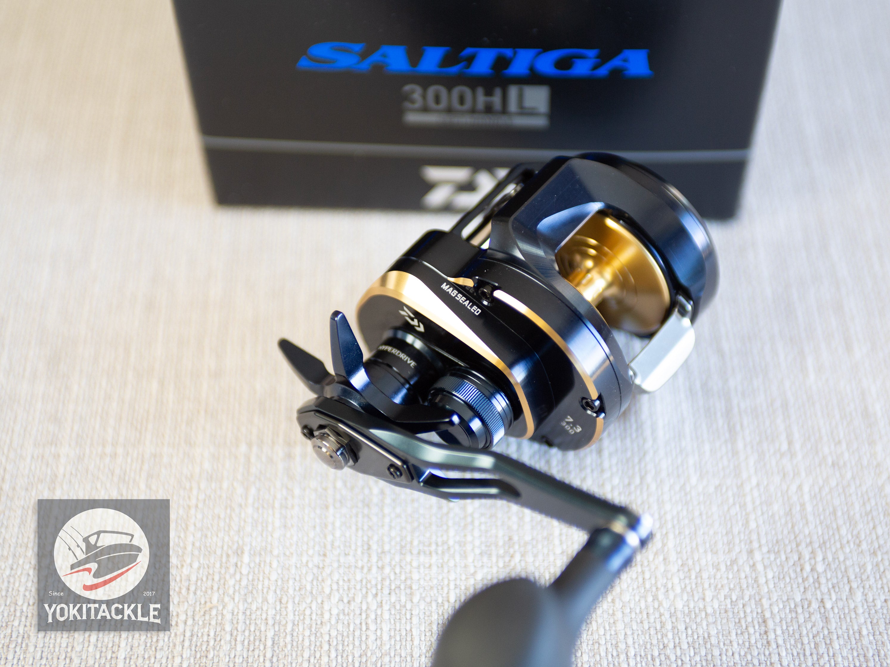 Daiwa 25 SALTIGA 300HL Baitcasting Reel