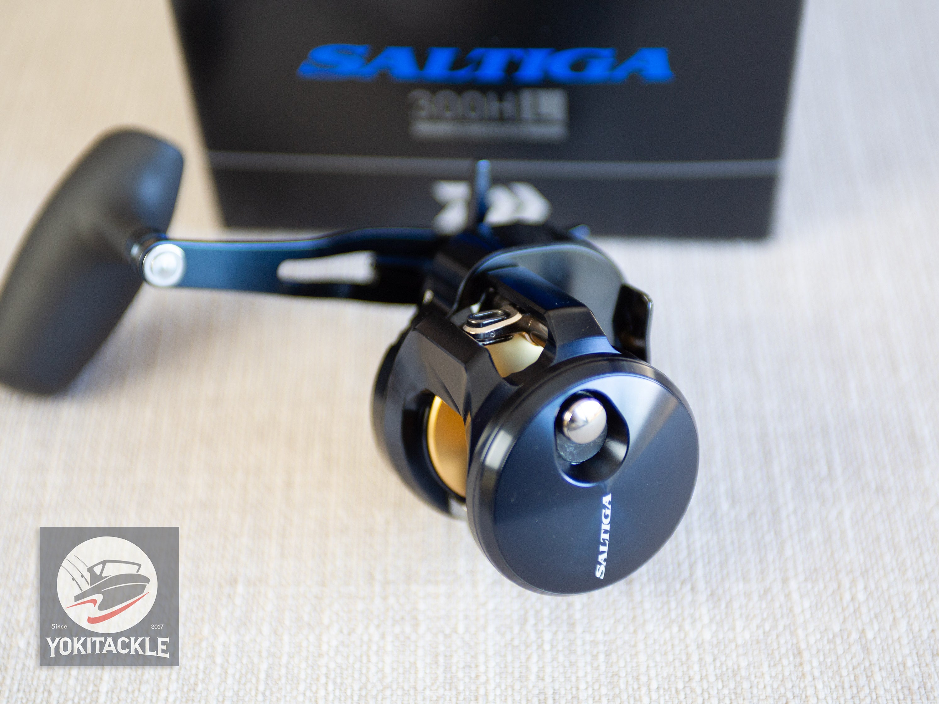 Daiwa 25 SALTIGA 300HL Baitcasting Reel