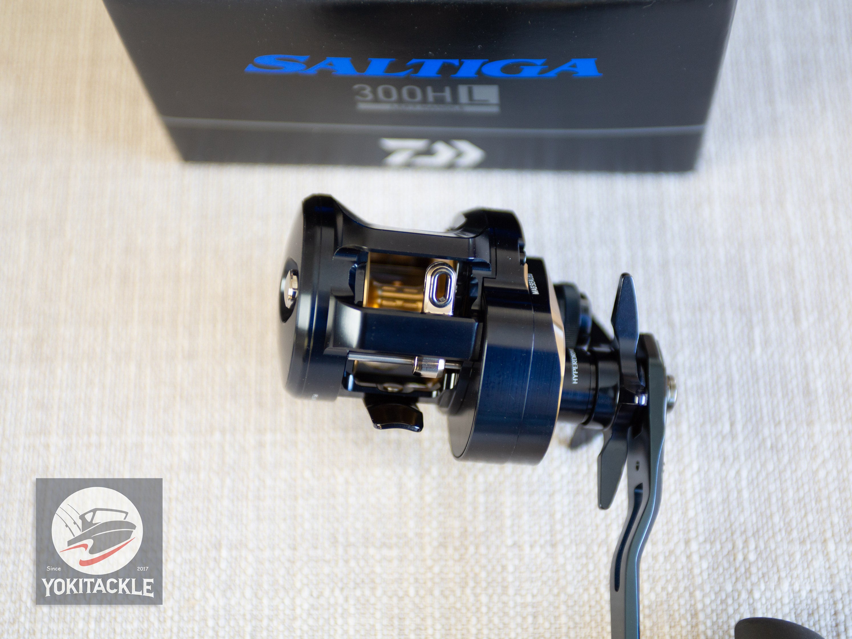 Daiwa 25 SALTIGA 300HL Baitcasting Reel