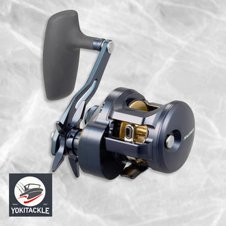 Daiwa 25 SALTIGA 300H Baitcasting Reel