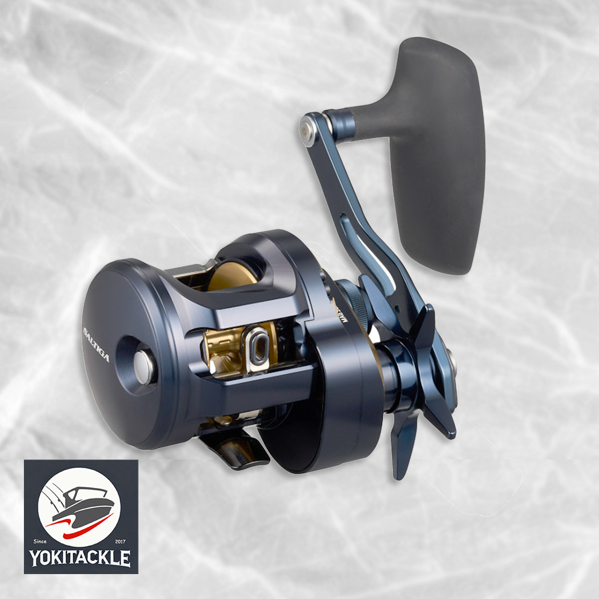 Daiwa 25 SALTIGA 300L Baitcasting Reel