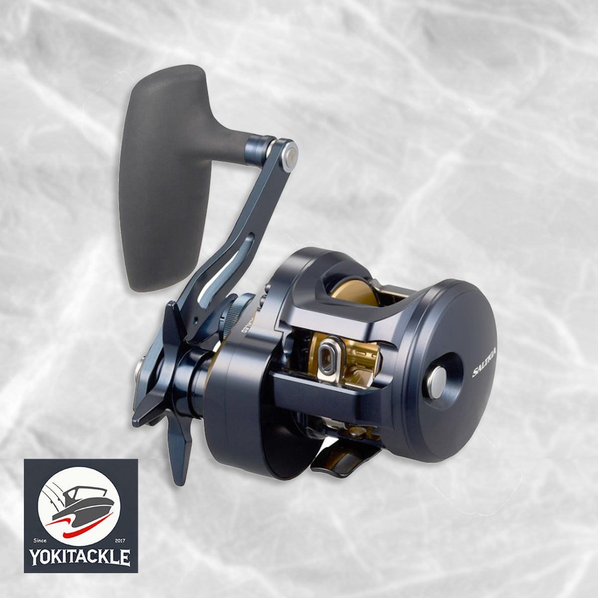 Daiwa 25 SALTIGA 300 Baitcasting Reel