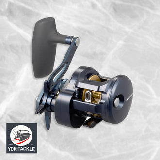 Daiwa 25 SALTIGA 300 Baitcasting Reel
