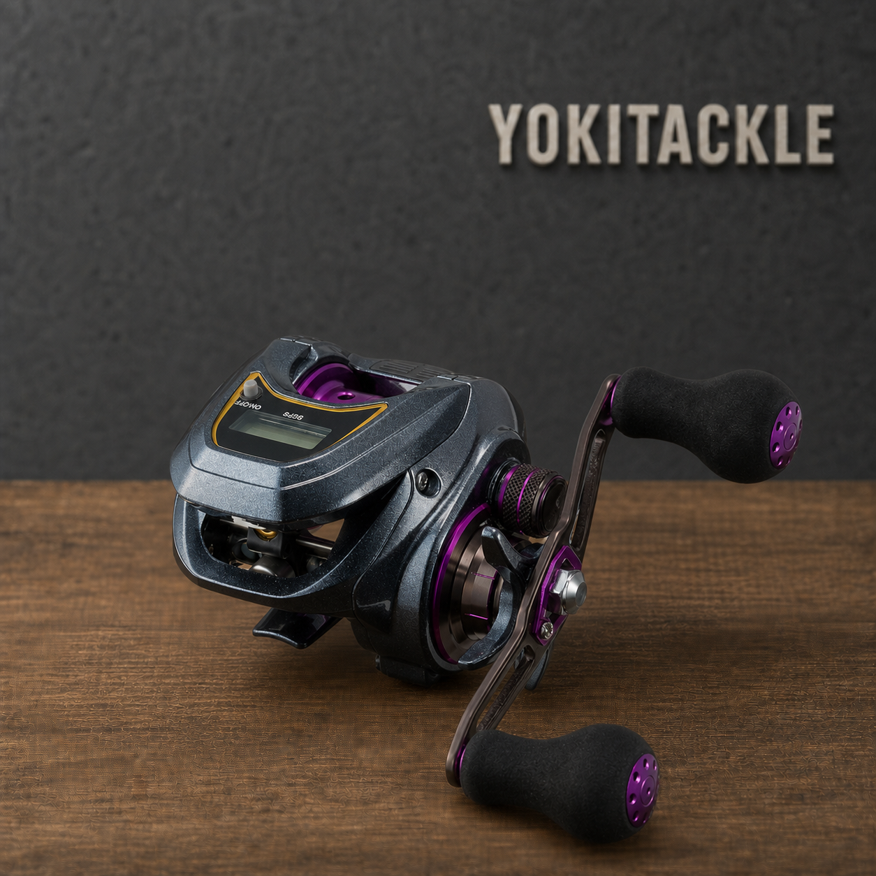 Daiwa LIGHT SW X IC IC L Baitcasting Reel Fishing Reel