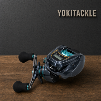 Daiwa LIGHT SW X IC SS IC L SS Baitcasting Reel Fishing Reel