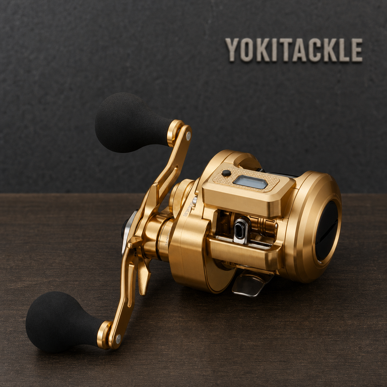 Daiwa 21 BASARA IC IC150 Baitcasting Reel Fishing Reel