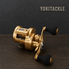 Daiwa 21 BASARA IC IC150L Baitcasting Reel Fishing Reel