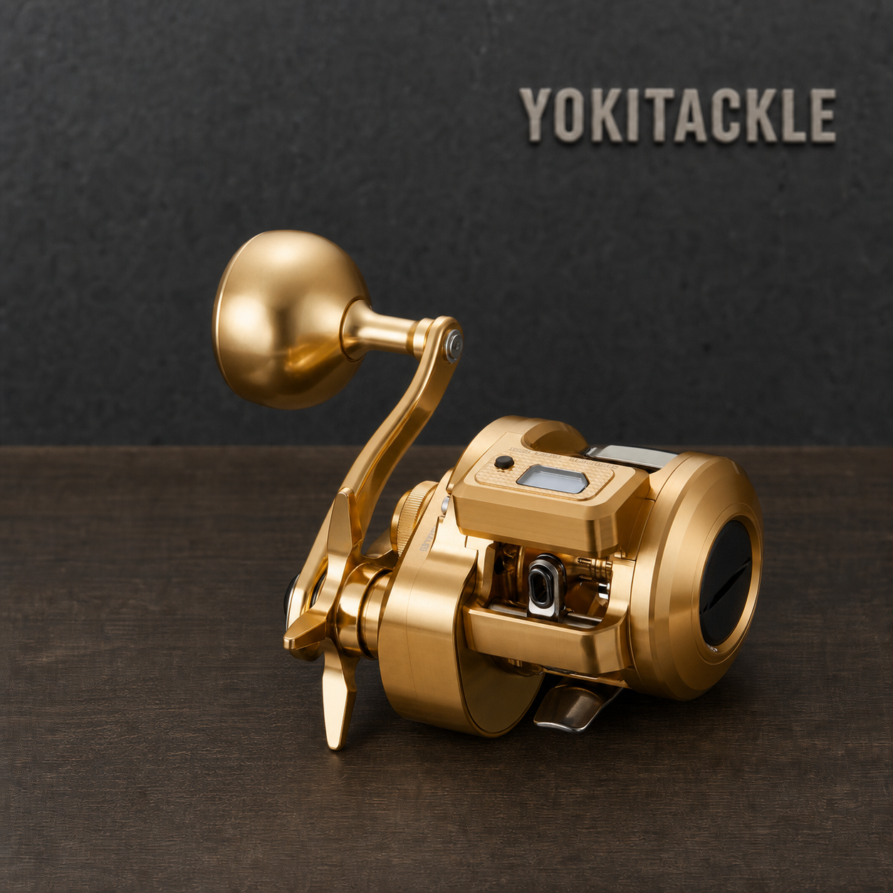 Daiwa 21 BASARA IC IC250P Baitcasting Reel Fishing Reel