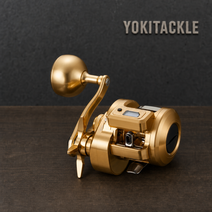 Daiwa 21 BASARA IC IC250P Baitcasting Reel Fishing Reel