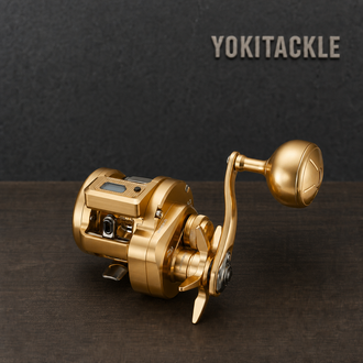 Daiwa 21 BASARA IC IC250PL Baitcasting Reel Fishing Reel