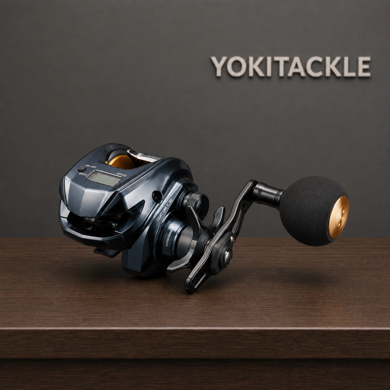 Daiwa LIGHT GAME IC 200L Baitcasting Reel Fishing Reel
