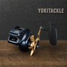 Daiwa TIERRA LJ IC 200HL Baitcasting Reel Fishing Reel
