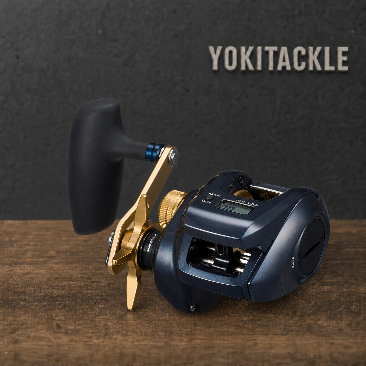 Daiwa TIERRA LJ IC 300H Baitcasting Reel Fishing Reel