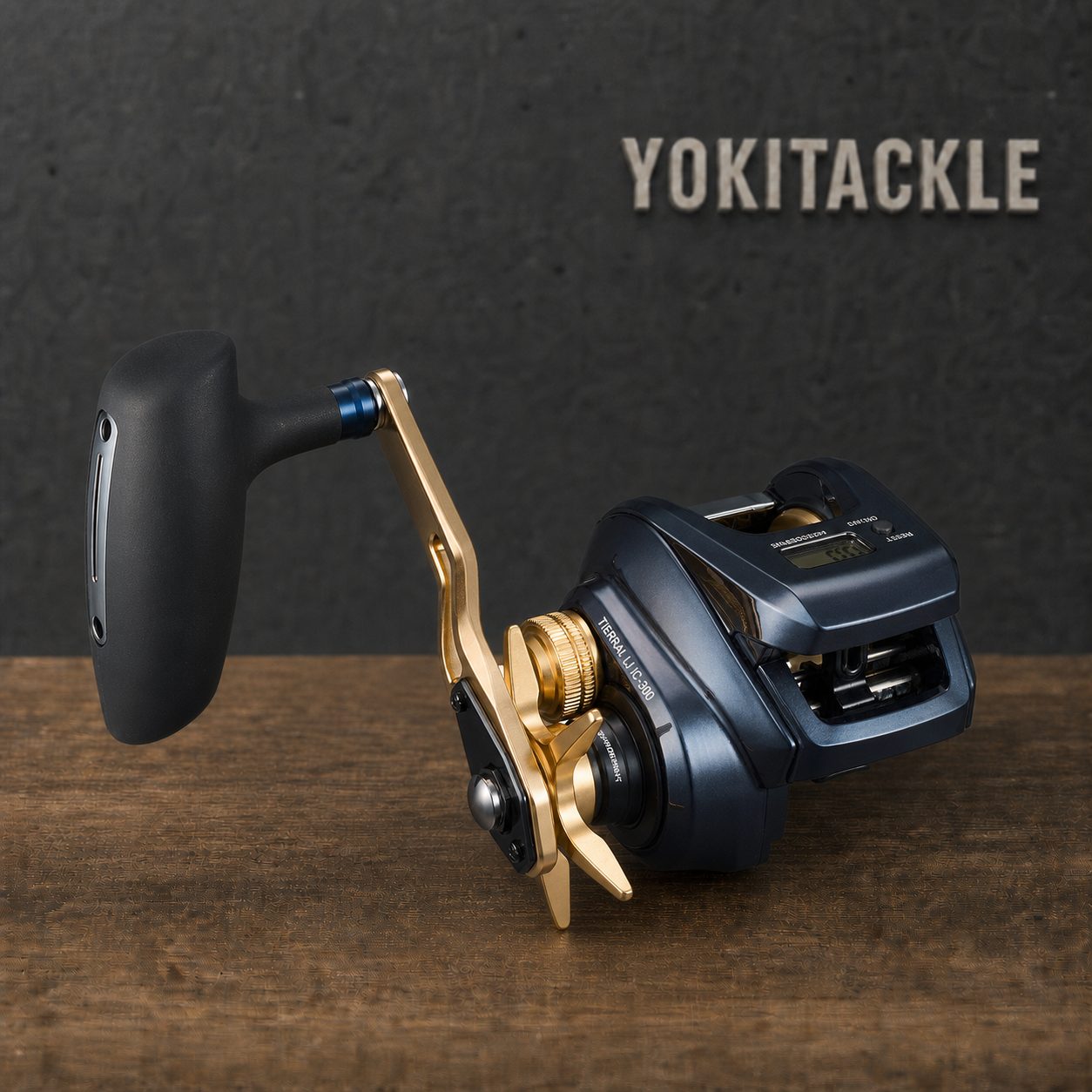 Daiwa TIERRA LJ IC 300HL Baitcasting Reel Fishing Reel