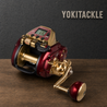 Daiwa 24 SEABORG G800MJ Electric Fishing Reel