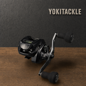 Daiwa 26 TIERRA IC 150HL-DH Baitcasting Reel Fishing Reel