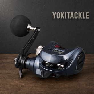Daiwa LIGHT GAME RX IC 200 Baitcasting Reel Right Hand Fishing Reel