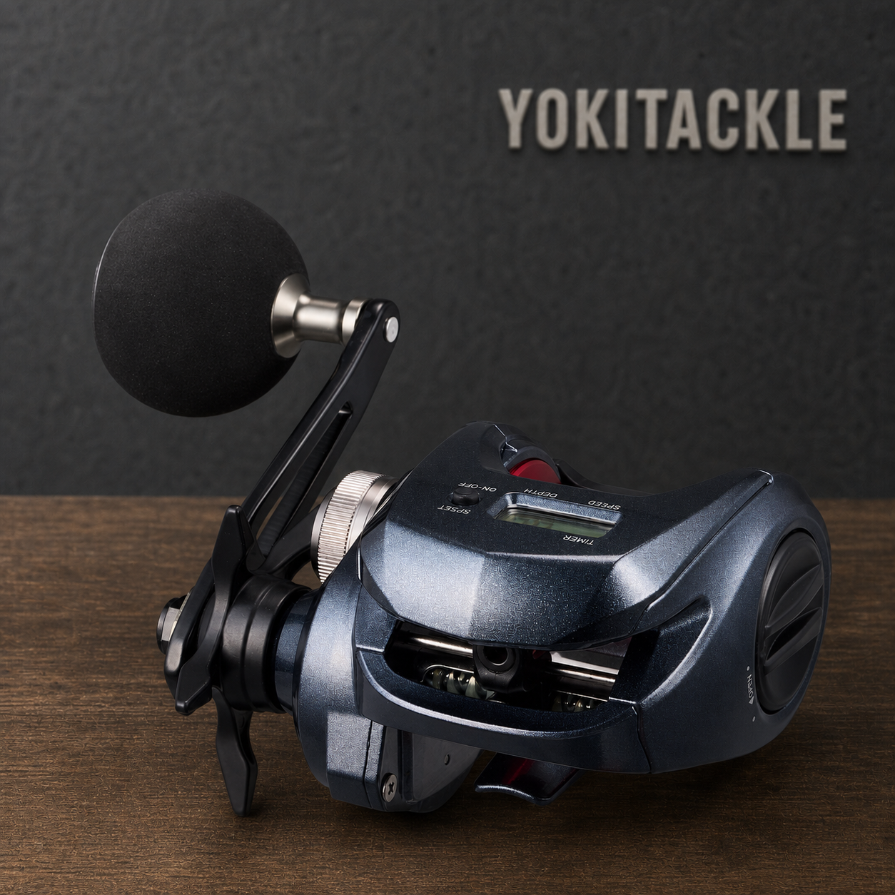 Daiwa LIGHT GAME RX IC 300P Baitcasting Reel Right Hand Fishing Reel