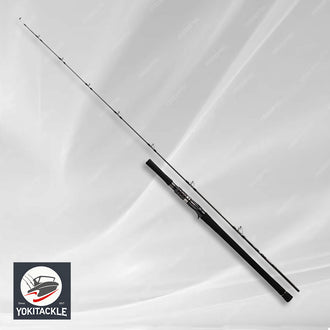 Brand New Daiwa Neostage Electric jigging DG J63B-4G Bait Casting Rod