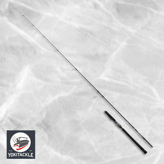 Brand New Daiwa 24 SALTIGA LC 76-2 Spinning Rod