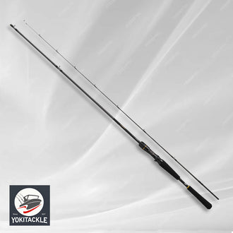 Brand New Daiwa LATEO Boat Seabass BS 66XHB-W Baitcasting Rod