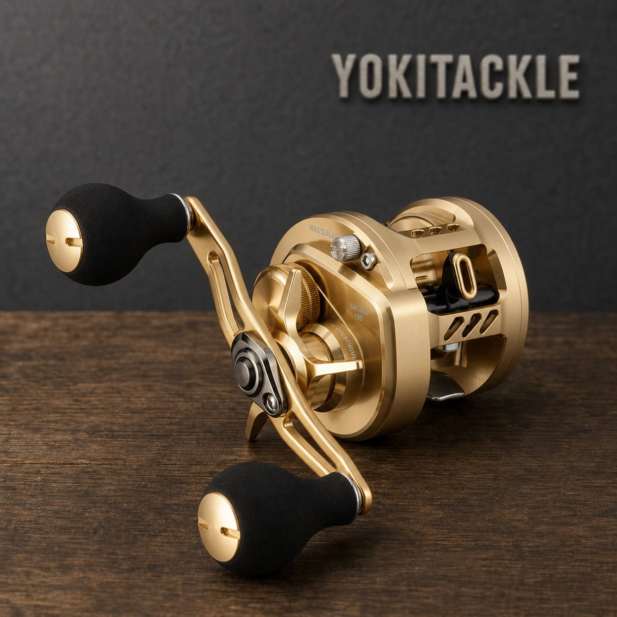 Daiwa 21 BASARA 100 Baitcasting Reel Right Hand Fishing Reel