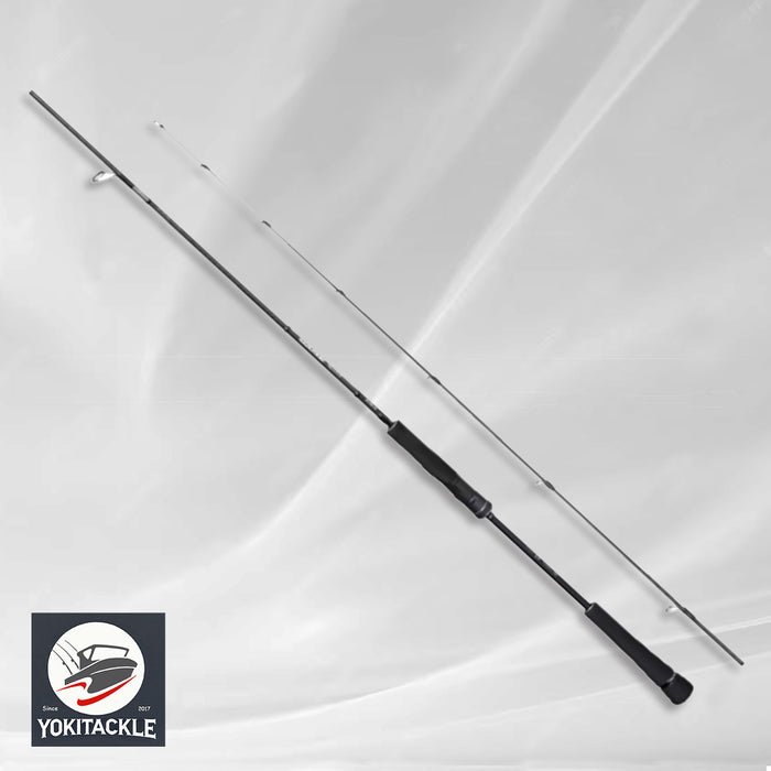 Shimano 21 Game Type LJ S65-00/FS Spinning Rod
