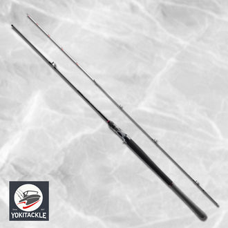Shimano 25 SALTY ADVANCE OFFSHORE TAIRABA B69ML-S Casting Rod