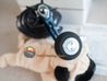 Daiwa 23 LEOBRITZ 300JL Electric Reel English PDFManual