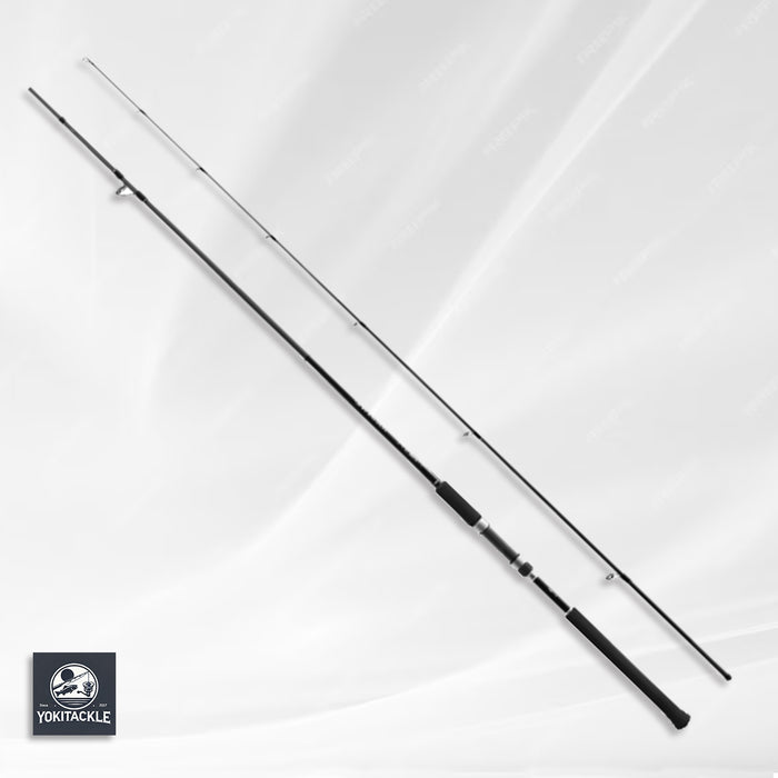 Shimano 19 Salty Advance LIGHT SHORE JIGGING S100L Spinning Rod